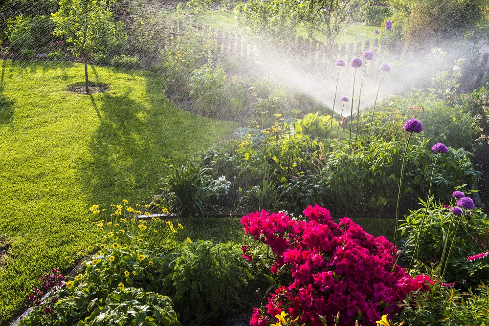 How to Save Money with Landscape Irrigation sposato irrigation