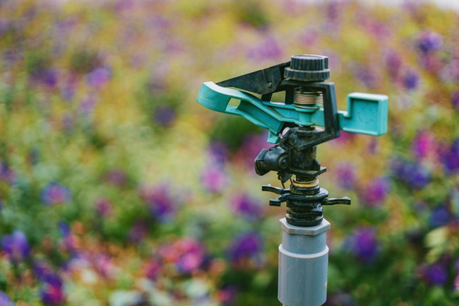 Benefits of Installing a Drip Irrigation System sposato irrigation