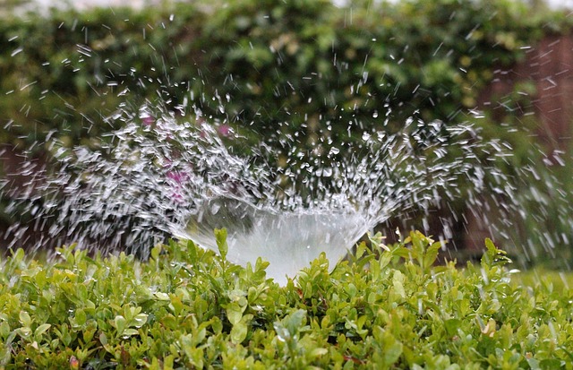 How to Tell if You’re Overwatering Your Property sposato irrigation