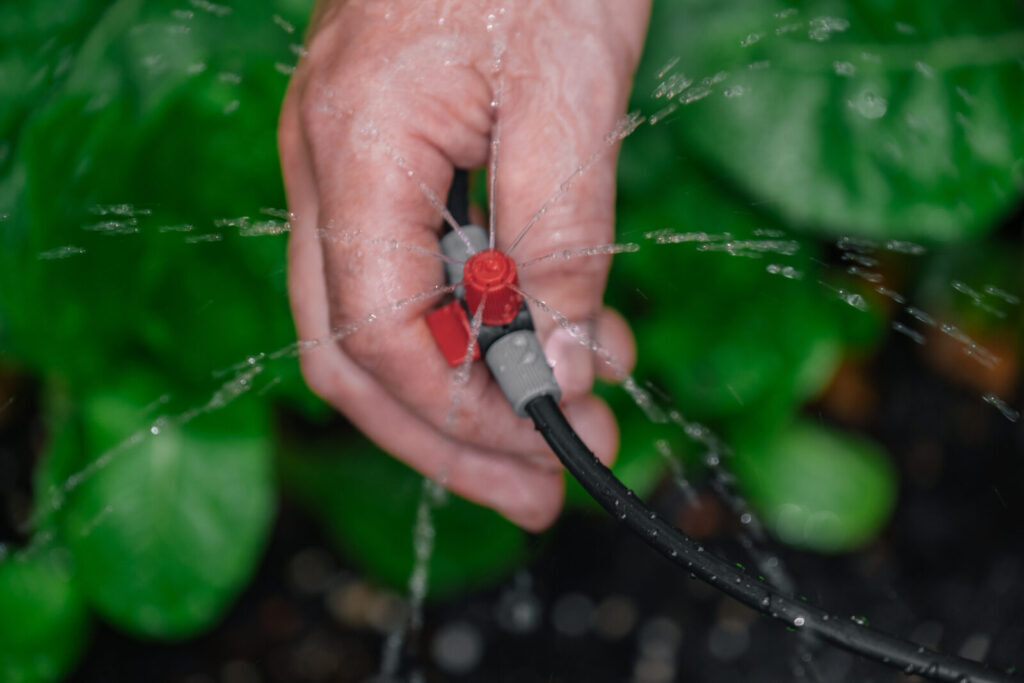 5 Signs You Have an Irrigation Leak sposato irrigation