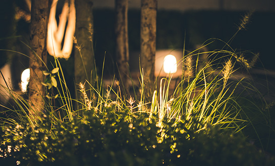 Benefits of LED Landscape Lighting sposato irrigation