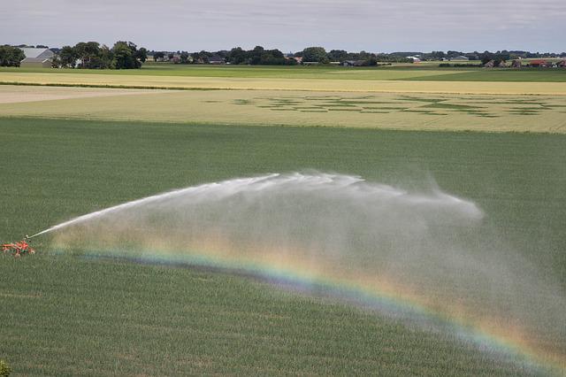 Sprinklers or Drip Irrigation for Commercial Properties? sposato irrigation