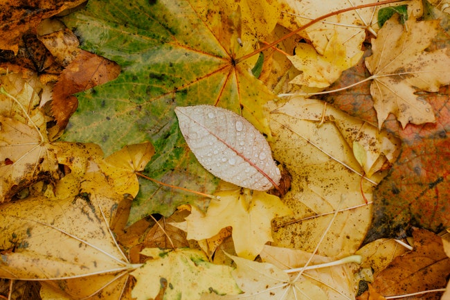 The Importance of Seasonal Irrigation Shutdowns sposato irrigation