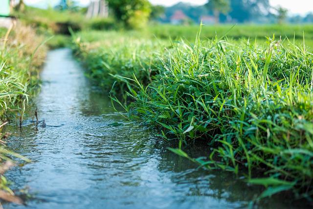 Signs of Poor Landscape Drainage sposato irrigation