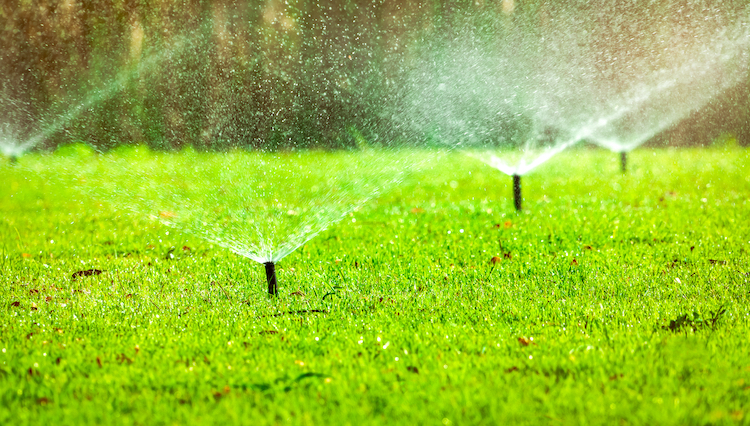 The Environmental Benefits of Smart Irrigation Systems sposato irrigation